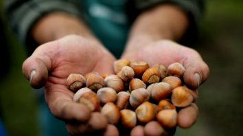 Numărul de fructe cu coajă lemnoasă pe care ar trebui să le consumați pe zi pentru a reduce riscul de boli cardiovasculare