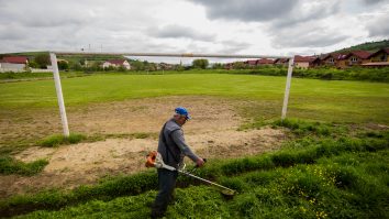 Un expert în grădinărit împărtășește data exactă la care trebuie să tai iarba după iarnă