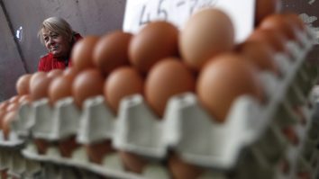 Iată cât timp rămân ouăle proaspete – și cum îți dai seama dacă s-au învechit sau nu