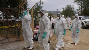 OMS avertizează că „trebuie să ne pregătim” pentru o pandemie de gripă aviară dacă tulpina mamiferelor trece la oameni