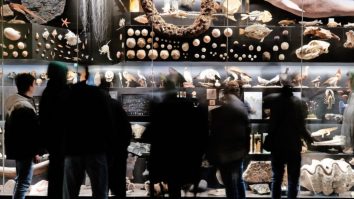 Un incendiu a izbucnit la muzeul de istorie naturală din Frankfurt