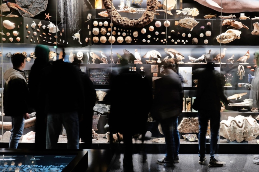 Un incendiu a izbucnit la muzeul de istorie naturală din Frankfurt