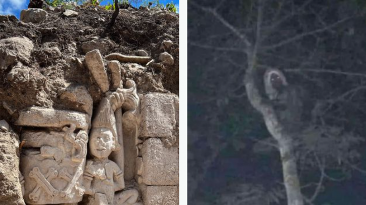 Președintele Mexicului susține că are o fotografie cu dovada spiritului mitic al pădurilor Maya