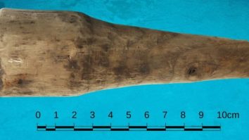 Descoperirea „primului dildo roman” îi intrigă pe arheologi