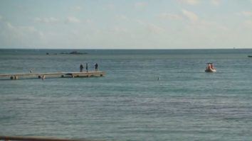 Un turist australian a fost ucis de un rechin în teritoriul francez Noua Caledonie din Pacific