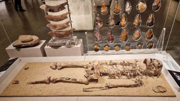 FOTO. Chipul unui egiptean care a trăit acum 35.000 de ani, reprodus de oamenii de știință. Cum au reconstruit cercetătorii fața bărbatului