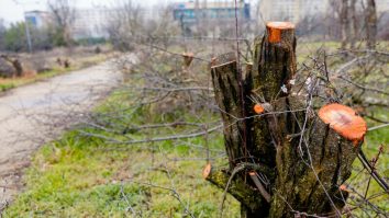 FOTO Protest pentru salvarea a unei părți din parcul I.O.R: „Un oraș nu poate să respire cărămizi, borduri și betoane”