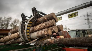 Exploatarea forestieră, cea mai mare problemă de mediu. Cum văd românii schimbările climatice?
