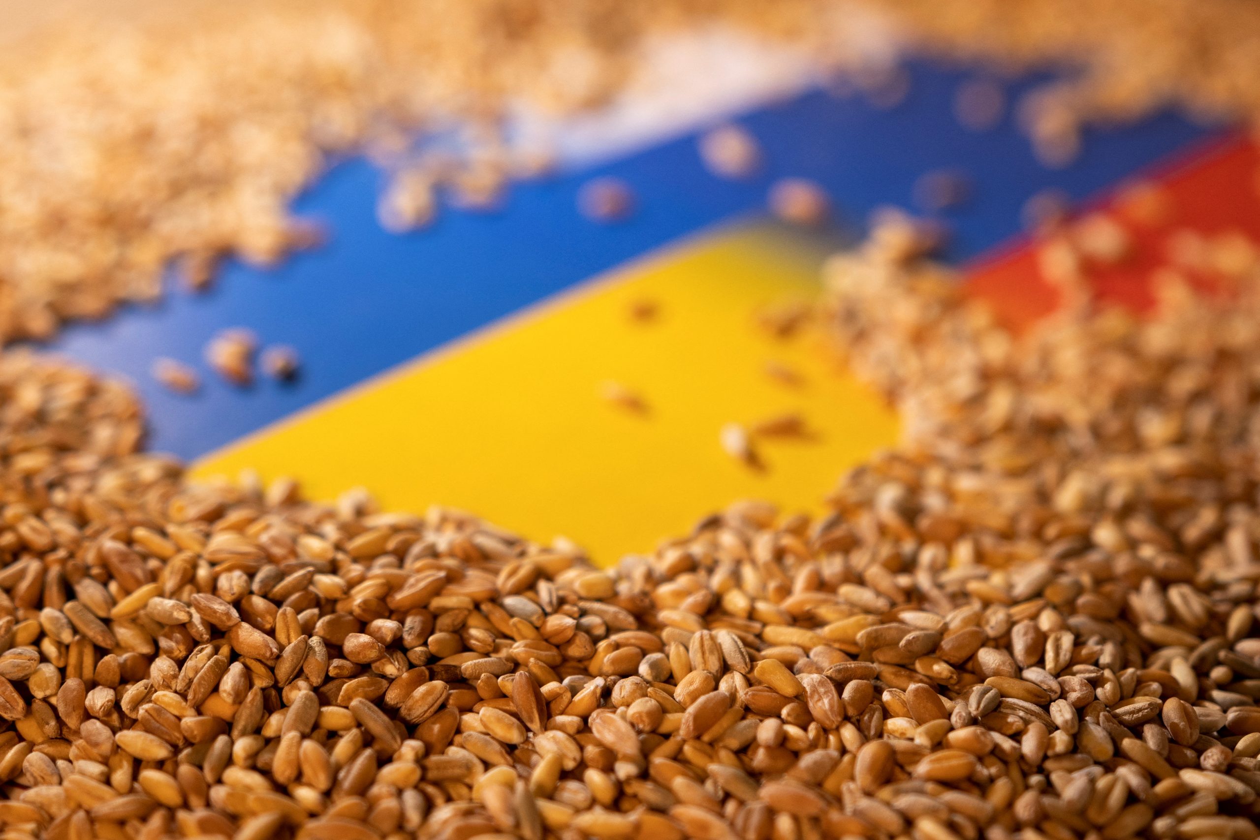 Kievul critică propunerea Rusiei de a prelungi cu 60 de zile acordul de export de cereale