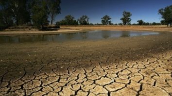 Oamenii de știință avertizează că există un risc de secetă ridicat în Anglia după ce luna februarie a fost secetoasă