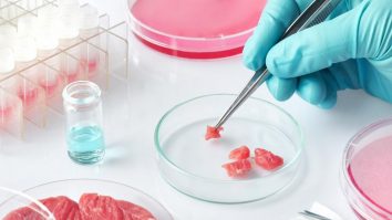 Italia protejează patrimoniul alimentar. Țara ia măsuri pentru a interzice carnea crescută în laborator