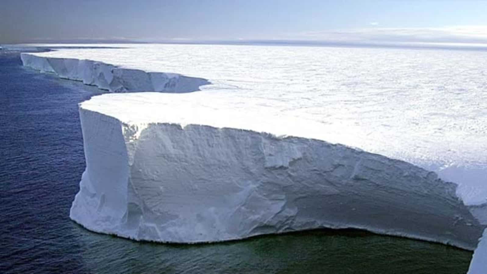 Oamenii de știință avertizează că un iceberg de mărimea Londrei ar putea lovi transportul maritim și animalele sălbatice