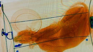 Scanarea cu raze X dezvăluie o greșeală catastrofală în bagajele pasagerilor. Ce a apărut pe ecran în urma scanarii a devenit viral