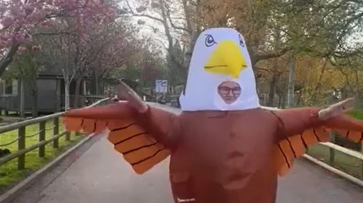 VIDEO. O grădină zoologică este în căutarea a cinci persoane care să se îmbrace în păsări pentru a alunga pescărușii. Ce criterii trebuie să îndeplinești