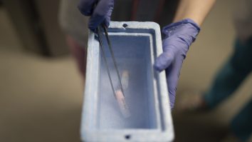 Un miliardar chinez scoate la licitație sperma și ovulele unor donatori nevaccinați