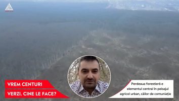 „Tăierile legale însumează anual echivalentul a 5000 de camioane cu lemne”. Cum ar putea ameliora efectele schimbărilor climatice perdelele forestiere?