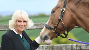 Regina Consoartă Camilla dezvăluie de ce a renunțat la călărie: „Cred că sunt prea bătrână pentru asta”