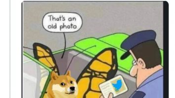 Celebrul logo Twitter a fost înlocuit de câinele DogeCoin. Prima reacție a lui Elon Musk