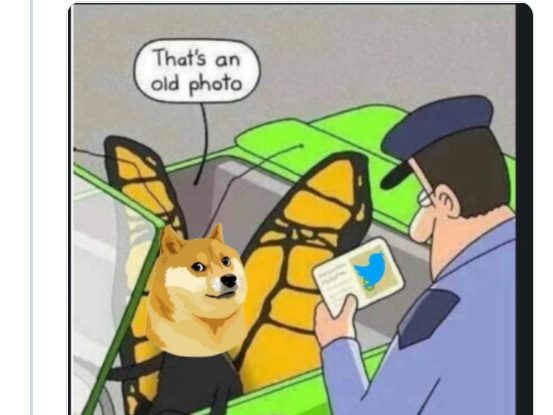 Celebrul logo Twitter a fost înlocuit de câinele DogeCoin. Prima reacție a lui Elon Musk