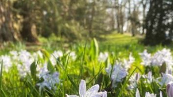 Cele mai frumoase destinații din Europa unde poți admira florile abia răsărite. De la castelele englezești de basm la văile pitorești din Italia