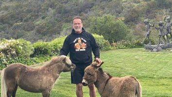 FOTO. „Familia se mărește”: Arnold Schwarzenegger, în vârstă de 75 de ani, aduce acasă un nou membru