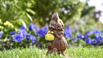 Istoria iepurașului de Paște. Ce semnificații are la nivel global