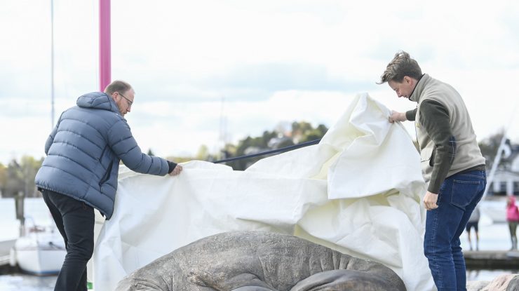 FOTO. Freya, morsa care a iubit să trăiască printre oameni, are o statuie în memoria ei