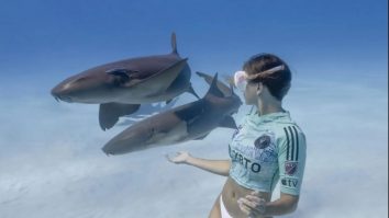 FOTO| VIDEO. Echipa lui David Beckham și-a prezentat noul echipament printre rechini