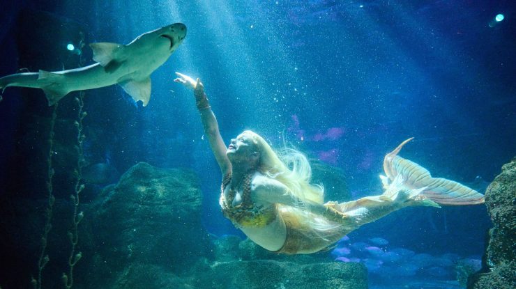 Versurile melodiilor din filmul „Mica sirenă” vor fi actualizate. „Oamenii au devenit foarte sensibili”