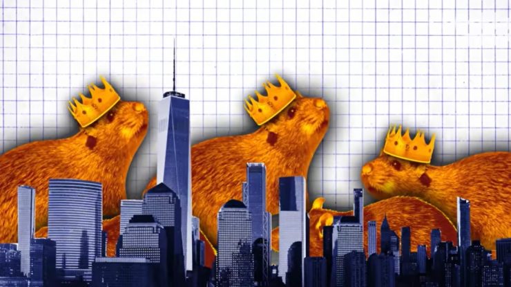 Orașul New York angajează primul „țar al șobolanilor” pentru eradicarea și controlul celor 2 milioane de rozătoare din metropolă