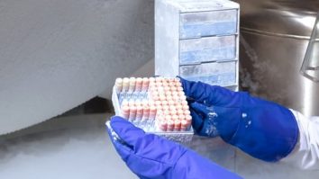 Donator de spermă, oprit de instanță. Judecătorii au declarat că bărbatul a contribuit la producerea a 550-600 de copii