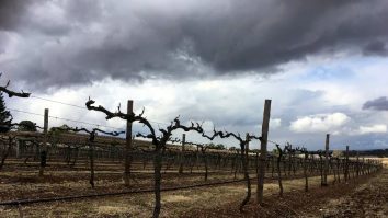 Lumea s-ar putea confrunta cu temperaturi record în 2023, odată cu revenirea fenomenului El Nino. Avertismentul dat de experți