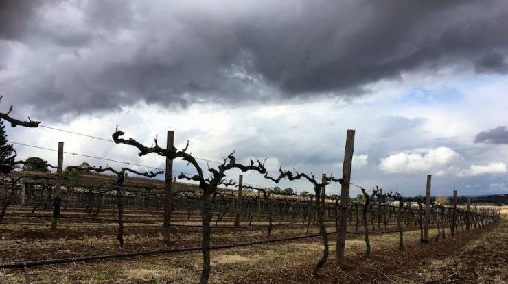Lumea s-ar putea confrunta cu temperaturi record în 2023, odată cu revenirea fenomenului El Nino. Avertismentul dat de experți