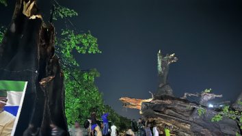Cel mai vechi arbore de bumbac din Sierra Leone, simbol al libertății, a fost doborât: „Este o mare pierdere pentru națiune”