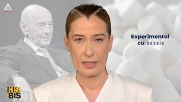 KisBis. Bezele și amânarea recompensei