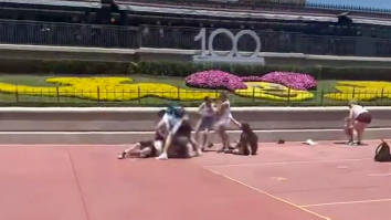 VIDEO. Două familii s-au luat la bătaie în parcul Disney World. O fotografie a generat conflictul