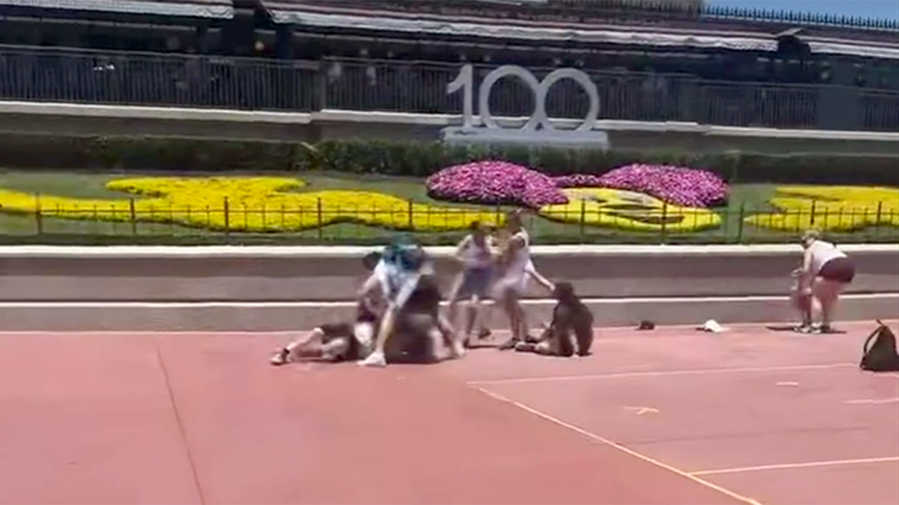 VIDEO. Două familii s-au luat la bătaie în parcul Disney World. O fotografie a generat conflictul