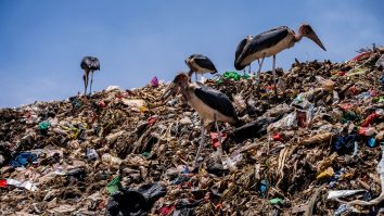 Raport ONU: Schimbările „profunde” ale politicilor de consum ar putea reduce poluarea cu plastic cu 80% până în 2040