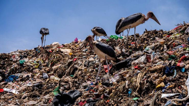 Raport ONU: Schimbările „profunde” ale politicilor de consum ar putea reduce poluarea cu plastic cu 80% până în 2040