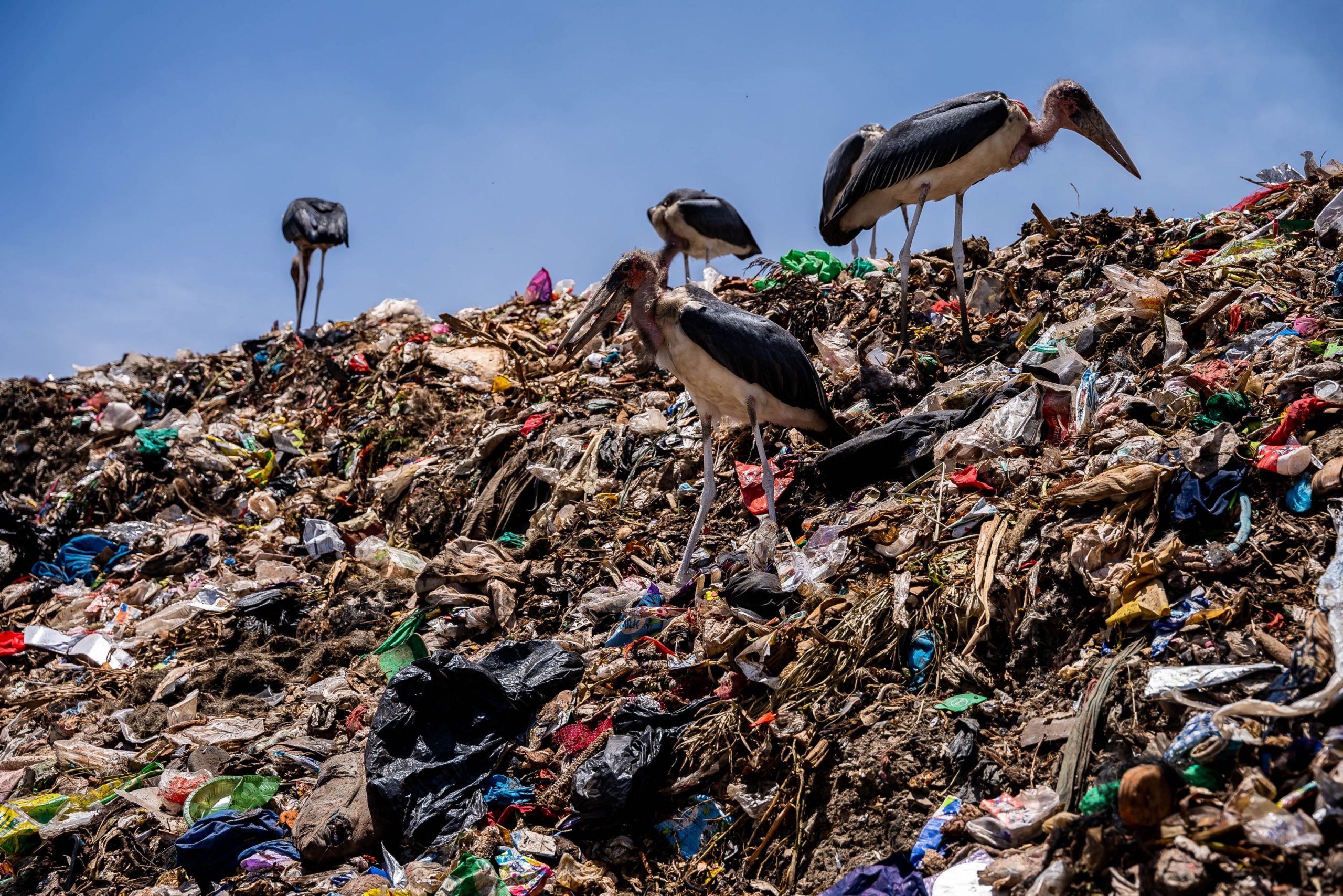 Raport ONU: Schimbările „profunde” ale politicilor de consum ar putea reduce poluarea cu plastic cu 80% până în 2040