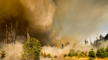 ONU: În ultimele cinci decenii, fenomenele meteorologice extreme au ucis 2 milioane de persoane