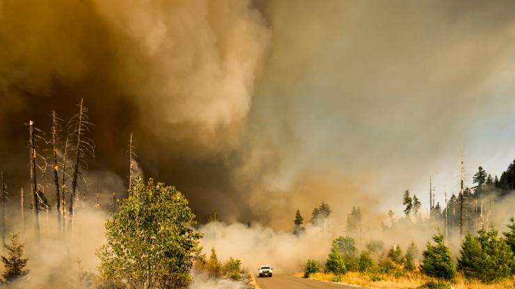ONU: În ultimele cinci decenii, fenomenele meteorologice extreme au ucis 2 milioane de persoane