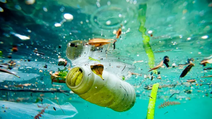 Astăzi au loc la Paris negocieri privind poluarea cu plastic: „Daca nu facem nimic, în 2060 în oceane va fi mai mult plastic decât pești”