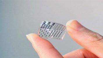 Oamenii de știință te ajută să-ți recapeți simțul tactil. Cum funcționează mecanismul descoperit de cercetători