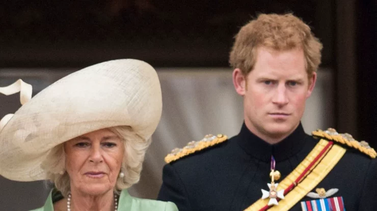 Furioasă pe mărturisirile din cartea Prințului Harry, Regina Camilla spune nu-l va ierta pe ducele de Sussex