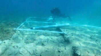 VIDEO. Un drum vechi de 7.000 de ani a fost găsit pe fundul mării, în Croația. Ce spun cercetătorii