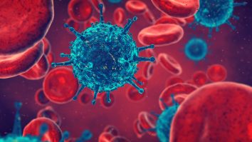 Când a fost descoperit virusul HIV? Primul avertisment privind SIDA datează de peste 40 de ani