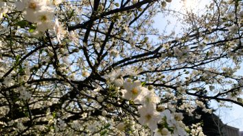 Prognoza meteo pentru luna mai: se încălzeşte după jumătatea lunii