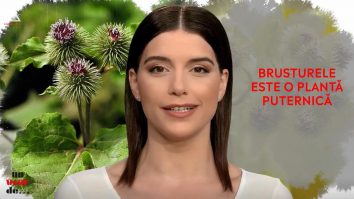 Un vârf de… brusture
