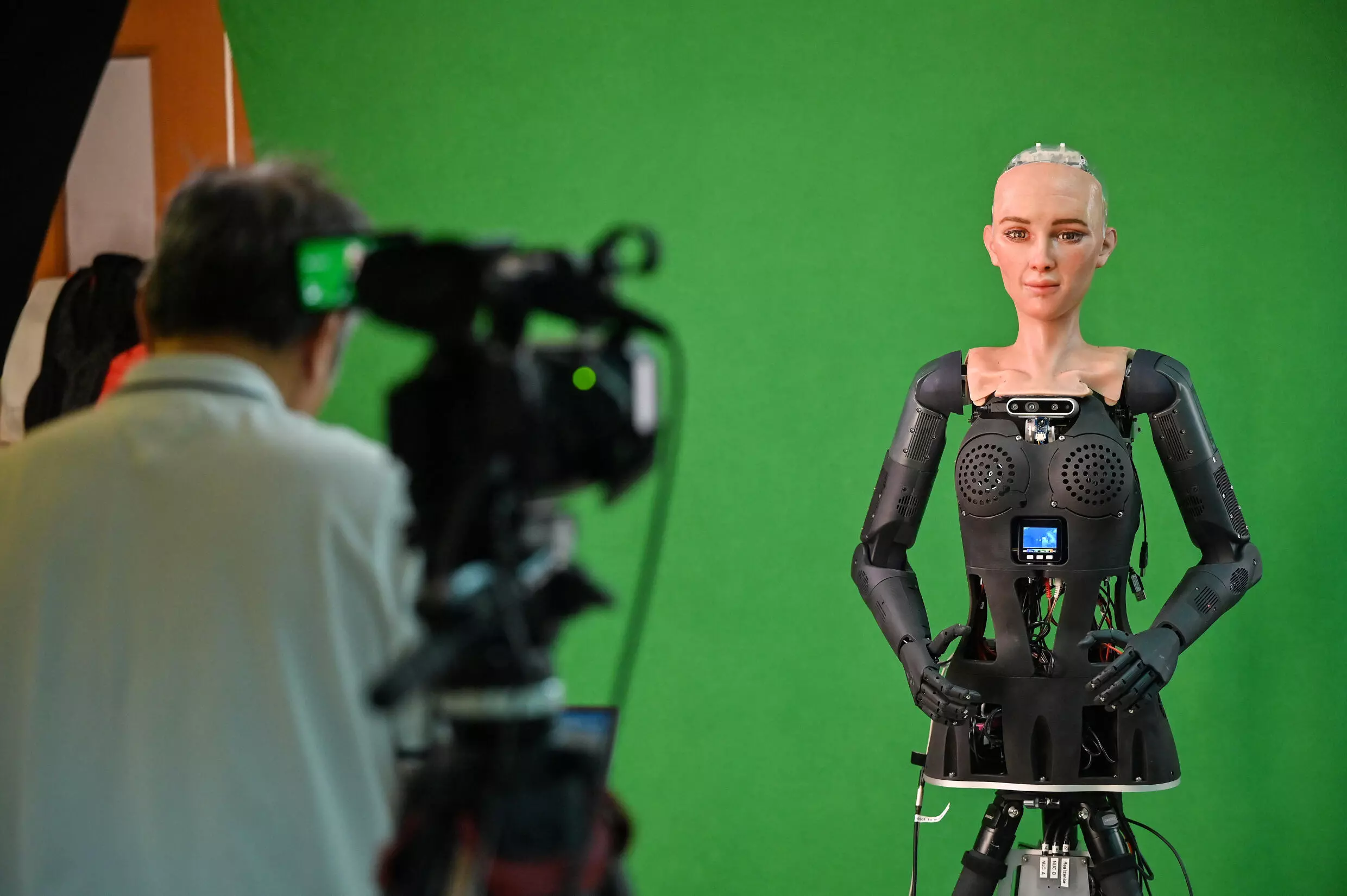 Dacă inteligența artificială ar vrea să distrugă omenirea, cum ar proceda?